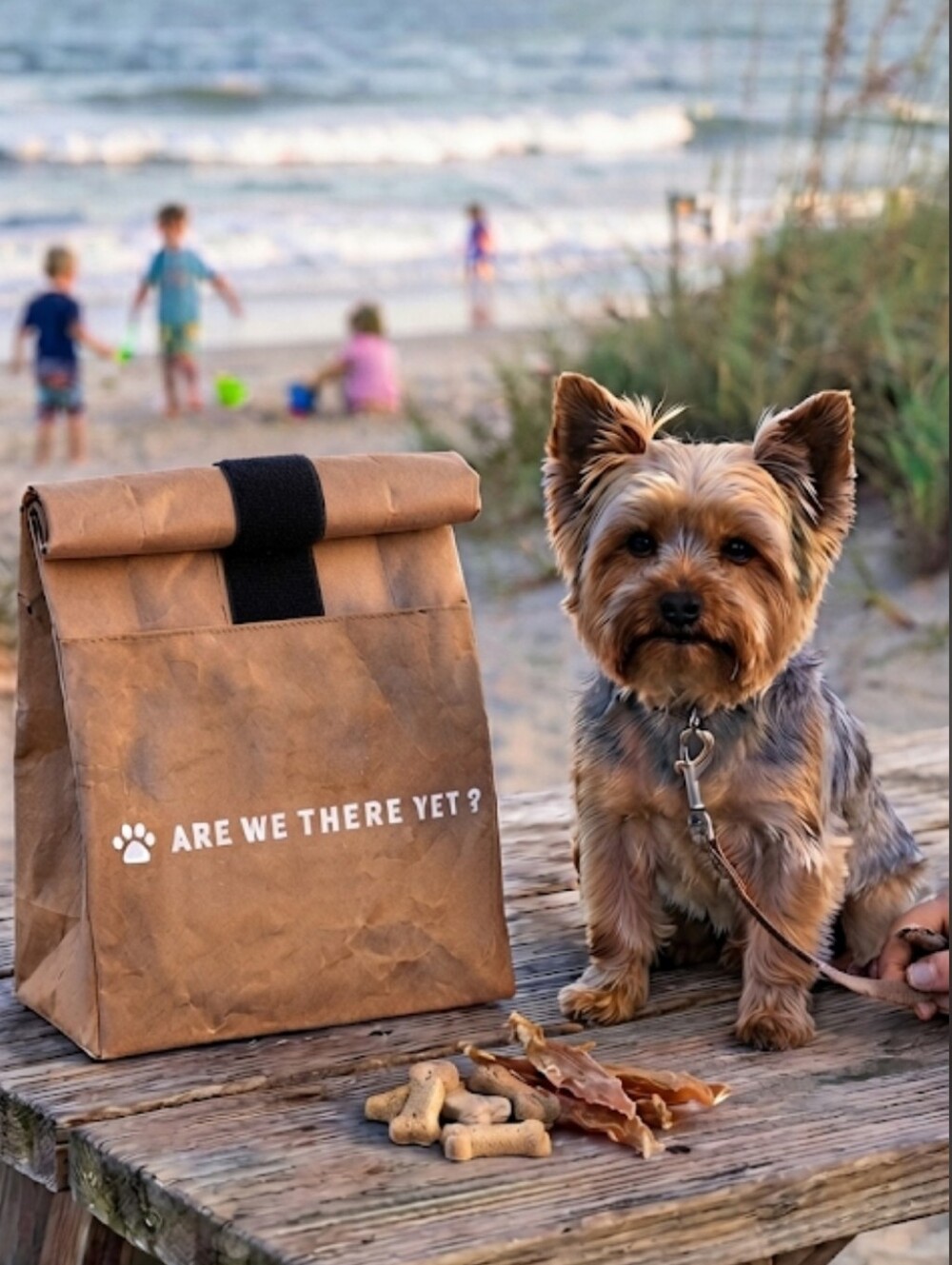 Brown Bag! 'Are We There Yet?' Waterproof Dog Food/Treat Bag